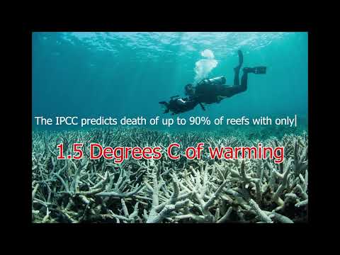 Bleached - Original Music Written and Performed by Bryan Manzano