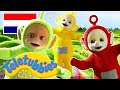 Teletubbies Nederlands: 1 Uur Lange Compilatie | kinder programmas | tekenfilms | animatie