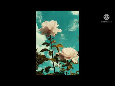 Beauty of nature#beatiful flowers