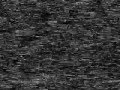 Blank Tape, Do You See Something In The Noise ...