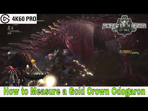 Monster Hunter: World - How to Measure a Gold Crown Odogaron Video