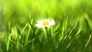 Radhika Vekaria & Adam Drake - Now