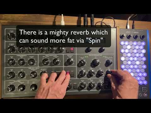 Erica Synths Steampipe + Intuitive Instruments Exquis (sound.report english)