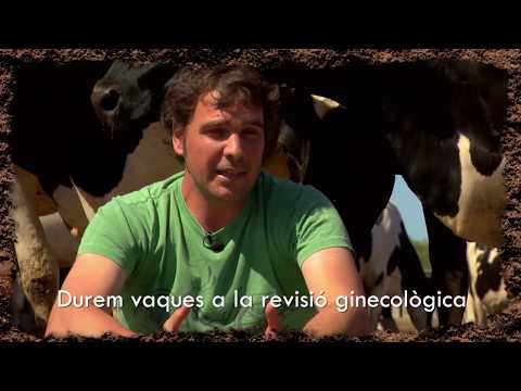 UEP! COM ANAM [312] - FAREM BAUXA TONENT OVELLES I REVIUREM EL PASSAT AGRARI DE S’ALBUFERA