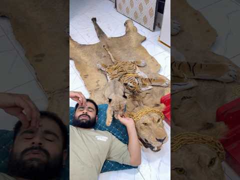 My pets are dying😭#ytshorts #petlover #viral #sad #crying #death #youtubeshorts #india #simba #yt