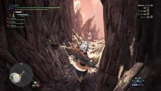 モンスターハンターワールド：アイスボーン_20210111165325