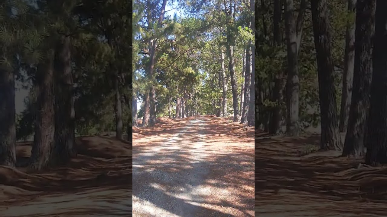 Vença as suas Limitações 🙏🏼