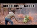 Guardians of Tadoba -  English