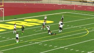 17.Wyandotte Bears Girls Varsity Soccer Vs Flat Rock 05.19.2017
