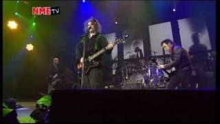 The Cure - Shake Dog Shake