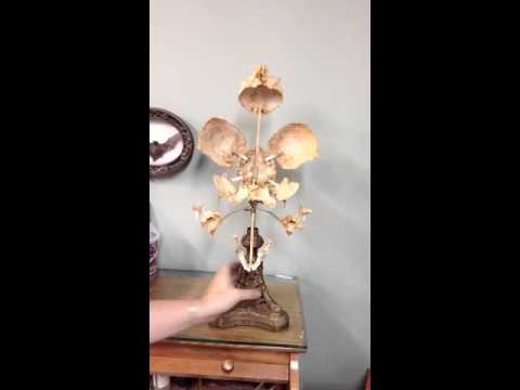 Beauchene exploded human skull