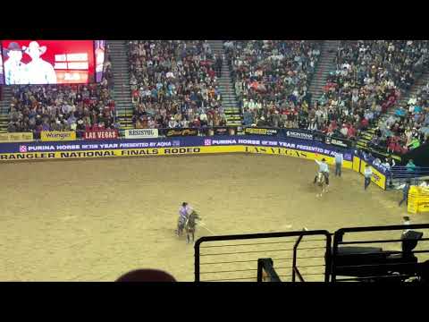 Júnior Nogueira NFR 2019