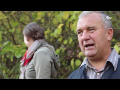 Erdélyi Történetek: Nagy Emese és a Botos család – 2015. október 27.