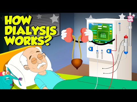How Does Dialysis Work? | Kidneys & Blood Cleaning Explained | Dr. Binocs Show