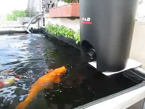 Terjual Pemberikan Pakan Ikan Otomatis Koi F D Auto Feeder 002 1