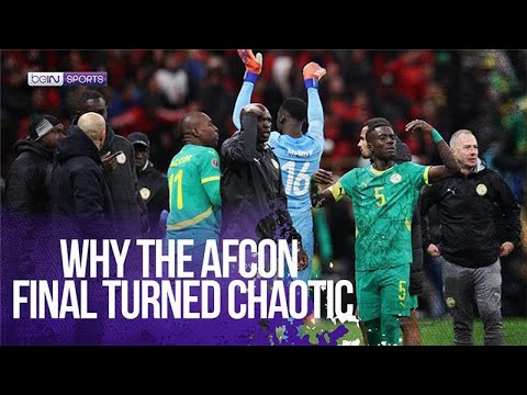 When the Stadium Lost Control: Senegal Fans, Staff, and a Night of Pure Drama