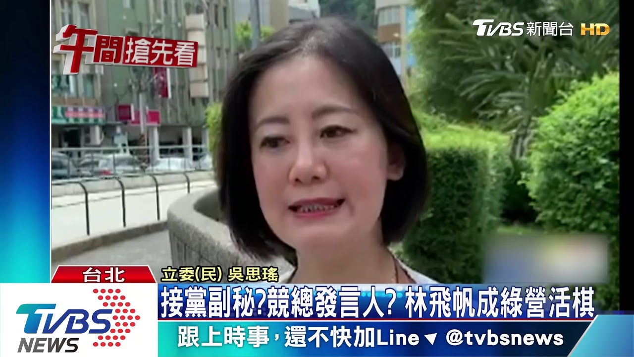 接黨副秘？競部發言人？　林飛帆成綠營活棋
