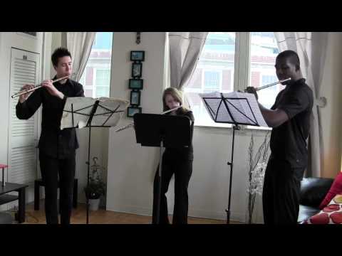 Walckiers Flute Trio op. 93 - Mvt. 4