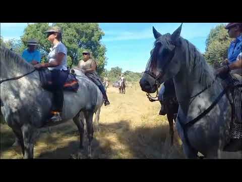 Una treintena de caballistas disfrutan del paisaje del Abadengo a orillas del río Camaces