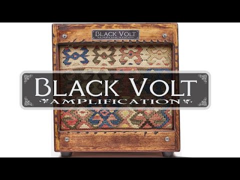 Black Volt The Hawk 15W Hand-Wired 10" Combo image 14