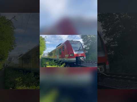 S3 mit Baureihe 423 fährt nach Bad Soden