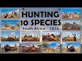 Hunting South Africa, 12 animals, 10 species with White Lion Safaris
