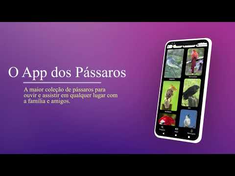 Brazilian's Birds Pro Video