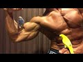 【セキセイインコとマッチョ】Twitterで4万越えで話題の動画