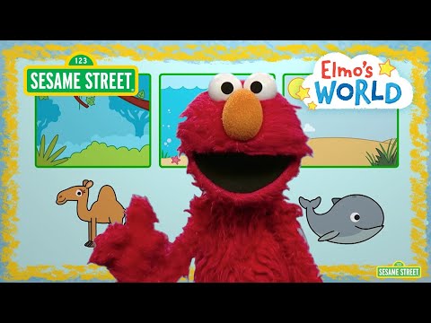Sesame Street: Elmo Explores Animal Habitats! | Elmo’s World