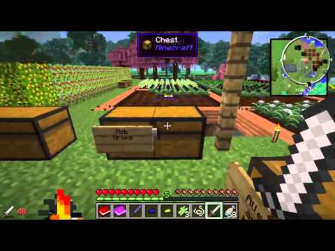 Zu Gast in der Minecraft WG (8. Gastauftritt) - Deathcounter - 5. Folge