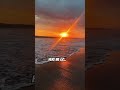 Unexpected surprise during the sunset at The beach! #shorts #sunset #surprise