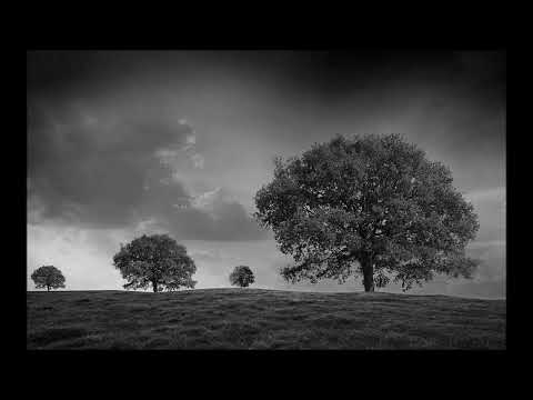 Schiller mit Yalda Abbasi // Das goldene Tor ''experience short mix''