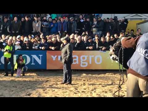 FINAL JURA ABERDEEN ANGUS PALERMO 2019