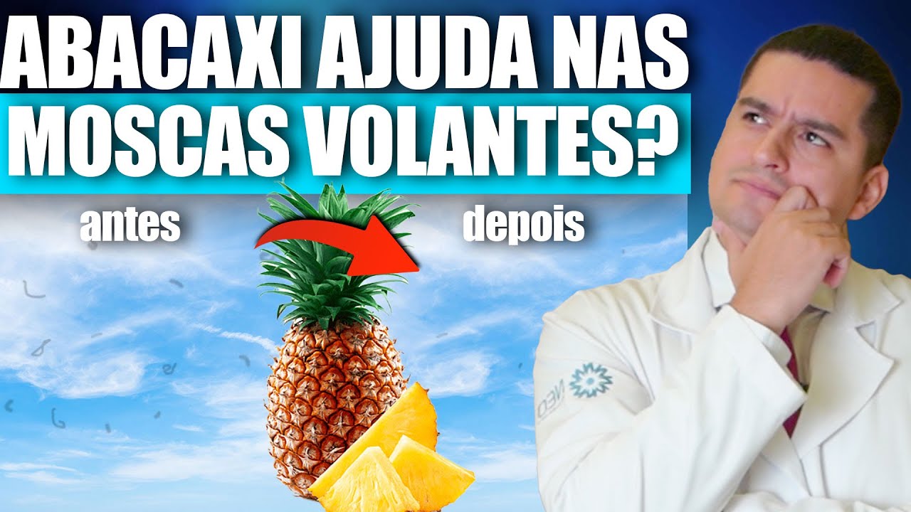ABACAXI AJUDA NAS MOSCAS VOLANTES?