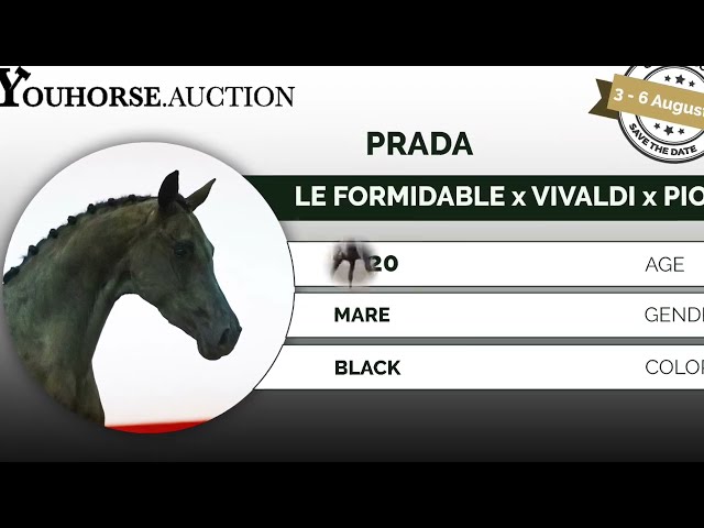 Prada under the saddle