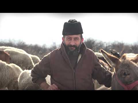 Agro karavan ep. 110 09.02.2020. Alibunar