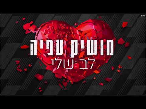 לב שלי Moshik Afia