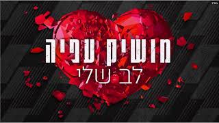 לב שלי Moshik Afia