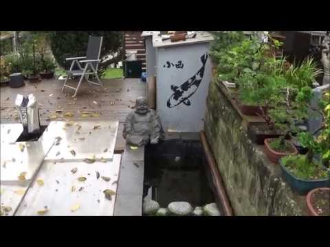 Garten 2019-2 - der Winter naht - Saisonfinale Teil 1