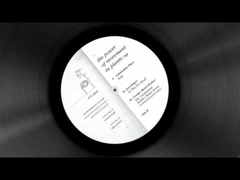 passEnger - Is This For Real? [ The Power Of Movement In Plants Ep - ELE-R001]