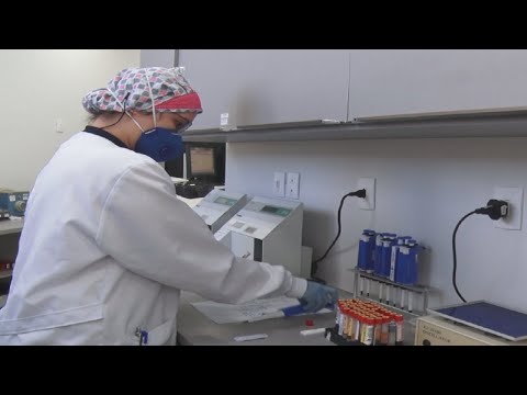 Testes rápidos auxiliam no tratamento de sintomas da dengue