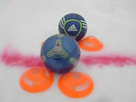 "Immunology", An Adaptive Immune Response and Its' Initiation