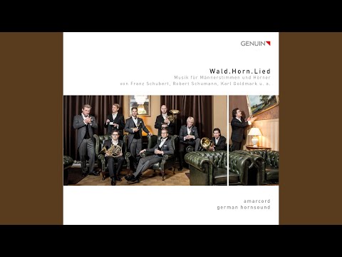 6 Lieder, Op. 32: Waldeinsamkeit, Op. 32