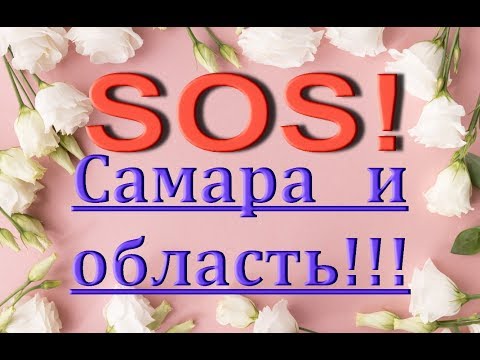 ХОЗЯИН,НАЙДИСЬ!!!!!