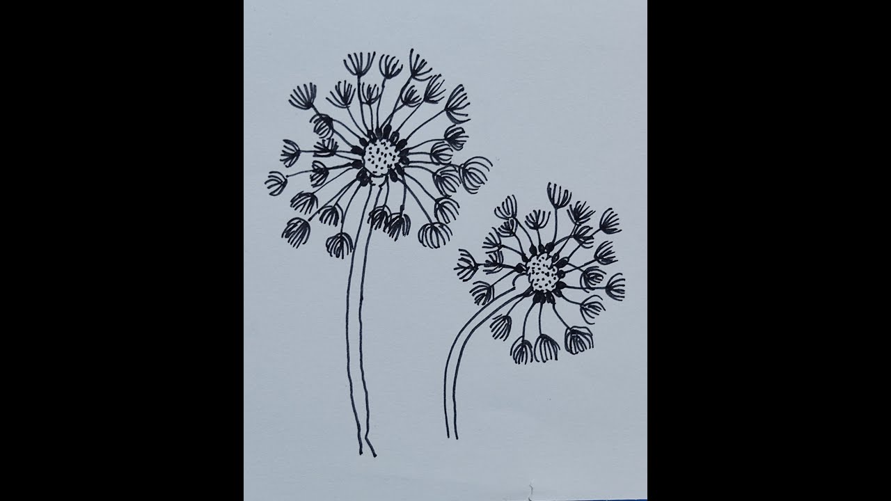 Easy Flower Doodle Art for Beginners | Delosperma Flower Drawing | Easy Flower Drawing #shorts