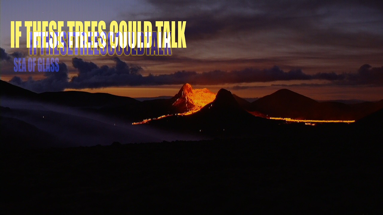 If These Trees Could Talk - Sea of Glass (Official) - YouTube