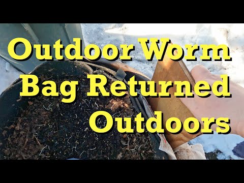 Return of my "over-winter" worm bag to the great outdoors - vermicomposting