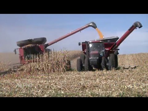 Farm Basics #931 - What is a GMO? (Air Date 2/7/16)