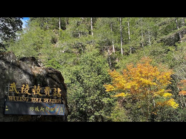 武陵農場收費站路況