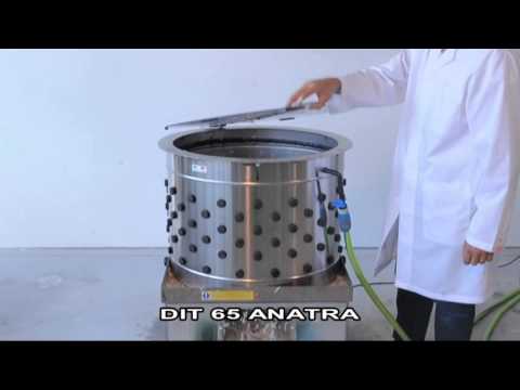 Spiumatrice DIT 65 – anatra